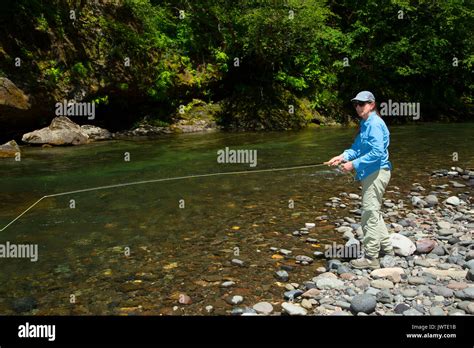 Fly Fishing The Lewis River Ford Pinchot National Forest