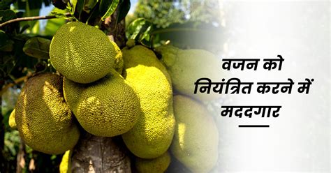 10 Benefits Of Jackfruits In Hindi कटहल खाने के फायदे और नुकसान