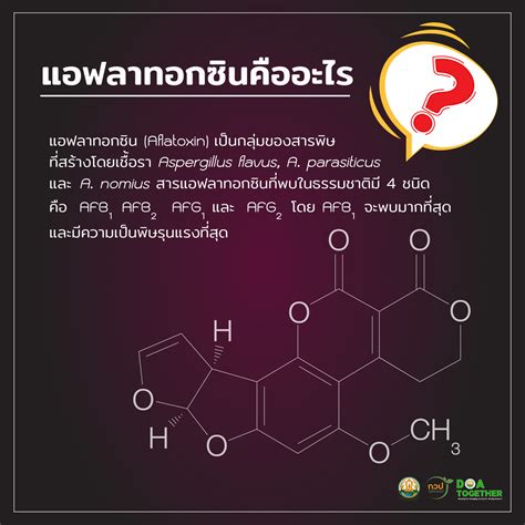 ภัยใกล้ตัว “แอฟลาทอกซิน สารก่อมะเร็ง” กองวิจัยและพัฒนาวิทยาการหลังการ