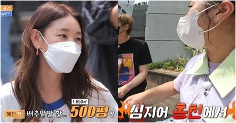 한혜진 알고보니 땅부자 홍천에 배추밭만 500평 고백 SNSFeed 제휴콘텐츠 제공 실시간 핫이슈