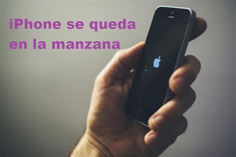 Solucionesiphone Se Queda En La Manzana