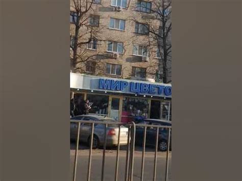 Луганск сегодня. Родной Солнечный квартал и Мир Цветов 👍 #новостироссии ...