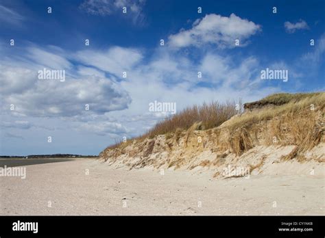 Beach At Goting Kliff On The Island F Hr Along The Wadden Sea