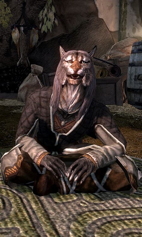 Khajiit Caravans Skyrim Art Elder Scrolls Art Character Art