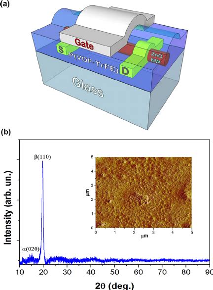 A A D Schematic Representation Of The Ferroelectric Non Volatile