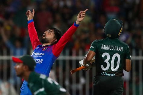 Rashid Khan Celebrates A Wicket