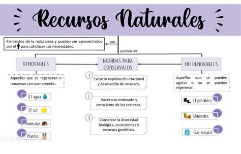 Mapa Conceptual De Recursos Naturales No Renovables Brainly Lat