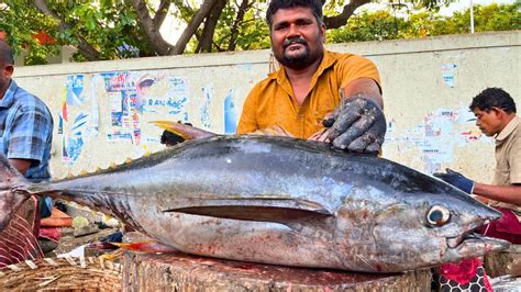 KASIMEDU FAST SELVAM 36 KG BIG YELLOW TUNA FISH CUTTING IN