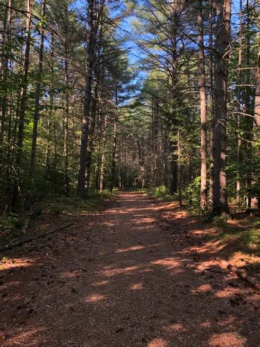 Best Trails And Hikes In North Conway Alltrails