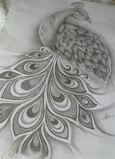 Peacock Pencil Sketch at PaintingValley.com | Explore collection of Peacock Pencil Sketch