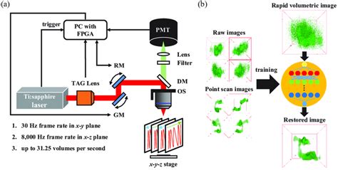 A Overall System Setup Of Proposed Rapid Dual Resonant Scanning