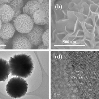 A B Sem Images C Tem Image And D Hrtem Image Of Wt