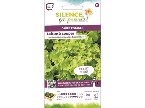 Laitue Couper Feuille De Ch Ne Blonde Graine Noire Silence A Pousse