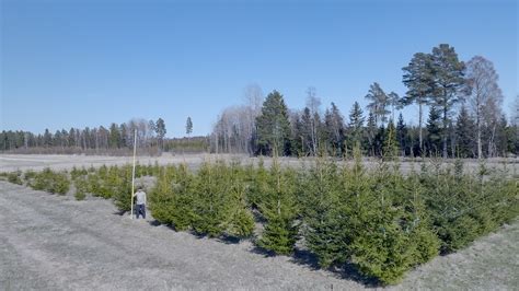 Nya Resultat Styrker Kunskapen Om Att ökad Förädling Ger ökad Tillväxt