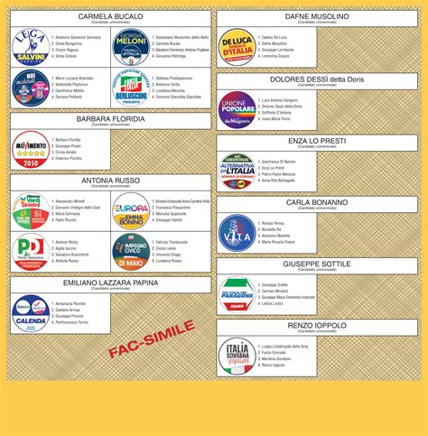 Elezioni Politiche Ecco Come Si Vota Fac Simile Delle Schede Per