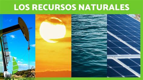 Recursos Naturales Guía Definitiva De Su Clasificación Y Importancia