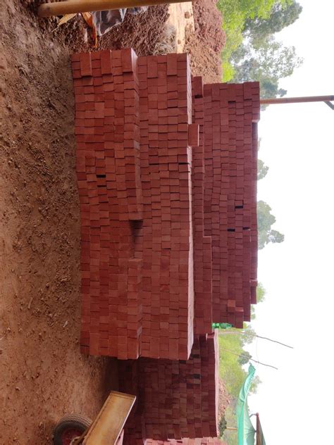 X X Inch Wire Cut Clay Brick At Rs Piece Wire Cut Brick In