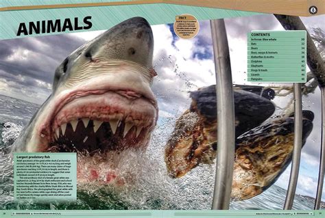 Guinness World Records 2016 Guinness World Records 9781910561027