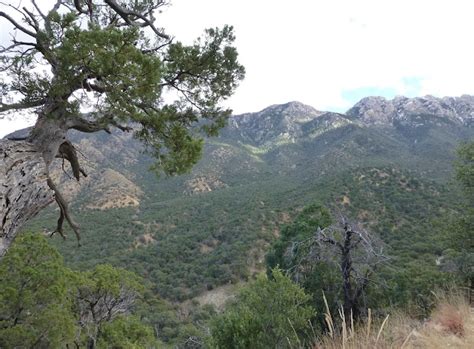 Hundewanderer.com: Hiking: Madera Canyon, Nature Trail