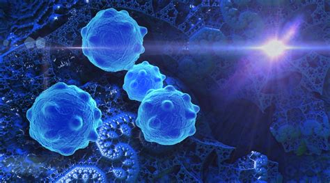 Overview of Innate Lymphoid Cells (ILCs): Subtypes, Characterization and Function