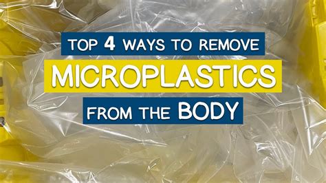 Top 4 Ways To Remove Microplastics From The Body Youtube