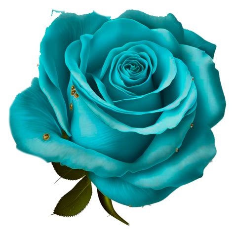 Blue Rose Png 23506401 PNG