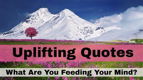 Uplifting Quotes What Are You Feeding Your Mind Youtube