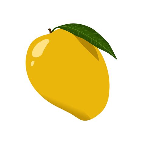 Illustration Of A Ripe Mango With Its Green Leaves 23741824 Png