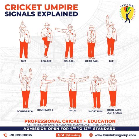 Cricket Umpire Signals Explained India Cricket Team Cricket Coaching