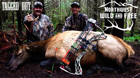 Coast Range Roosevelt Elk Hunting Tagged Out With Northwest Wild And