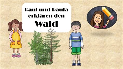 Der Wald Stockwerke des Waldes Erklärvideo für Grundschule