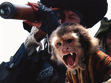 Monkey In Pirates Of The Caribbean Kept Throwing Up On Set