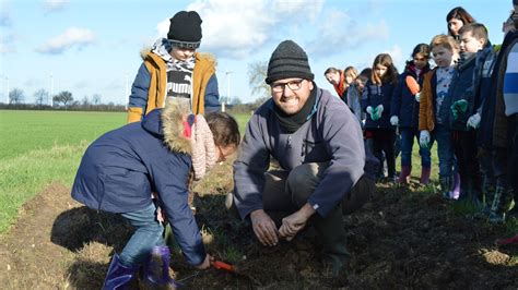 Senill Saint Sauveur Les Coliers Participent La Plantation Dune Haie