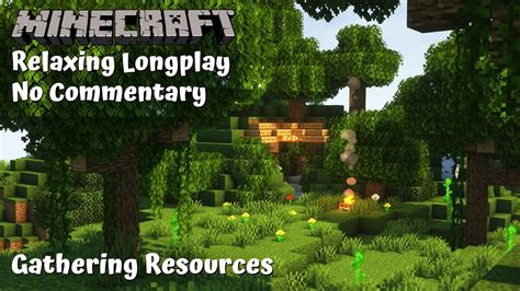 Gathering Resources Relaxing Minecraft Longplay No Commentary Youtube