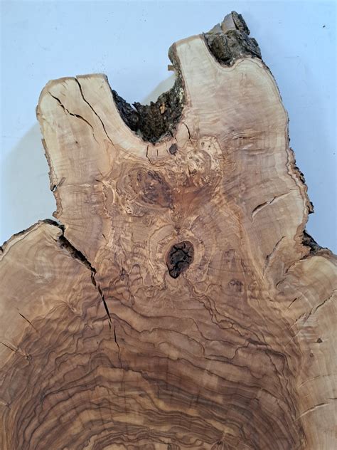 Olive Live Edge Wood Slab Live Edge Olive Burl Hole Etsy