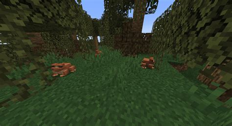 The Wild Update Concept Mod Minecraft Mods Curseforge