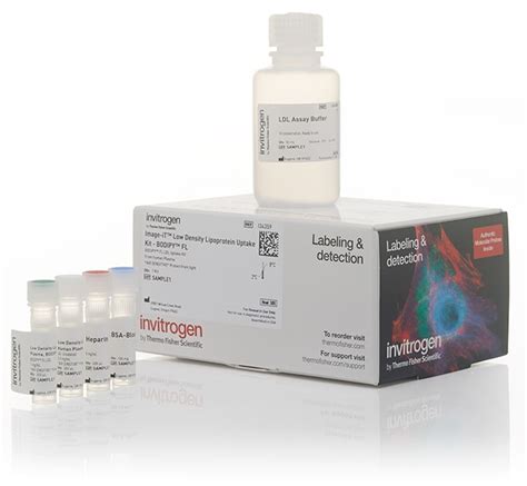 Invitrogen Image IT Low Density Lipoprotein Uptake Kit Bodipy FL 1 X