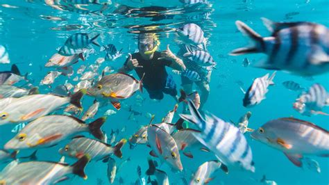 7 Exceptional Snorkeling Spots Around The Globe