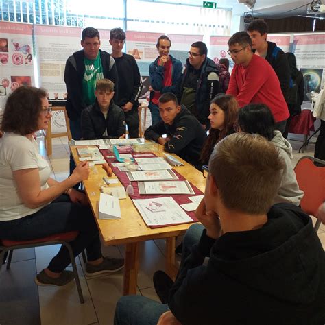 Születés kiállítás