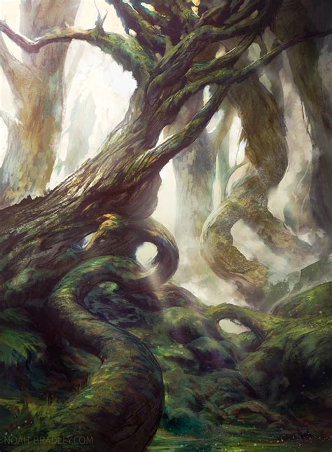 Forest MtG Art From Battle For Zendikar Set By Noah Bradley Art Of