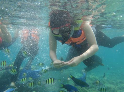 Snorkeling Terumbu Karang Pulau Tidung