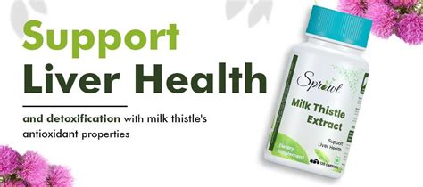 Milk Thistle Extract Capsules For Liver Detox Sprowt