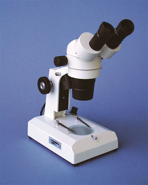 Stereo Microscope