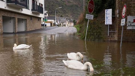 Hochwasser nach Starkregen Pegelstände an der Mosel steigen weiter