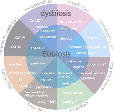 Factors Influencing The Composition Of The Cervicovaginal Microbiota