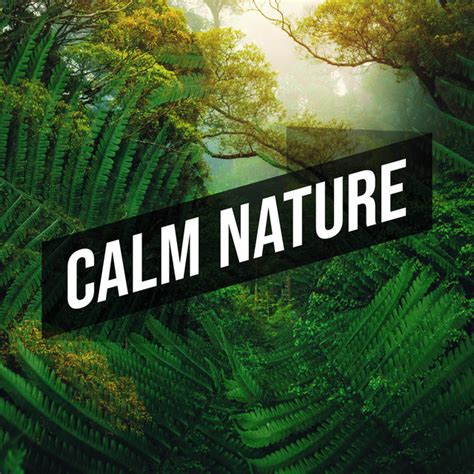 Calm Nature Album By Nature Calm Spotify