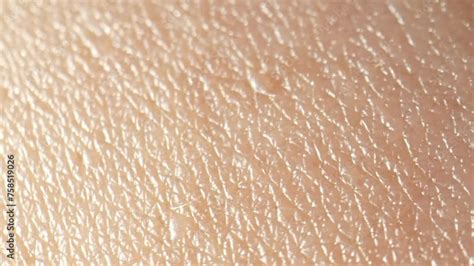 camera seamlessly glides drawing viewers deeper  skin texture