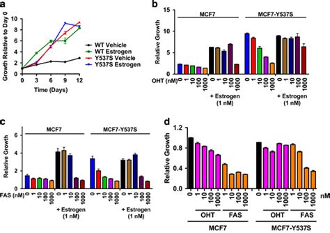 Mcf7 Y537s Cells Grow In An Estrogen Independent Manner A Mcf7 Wt