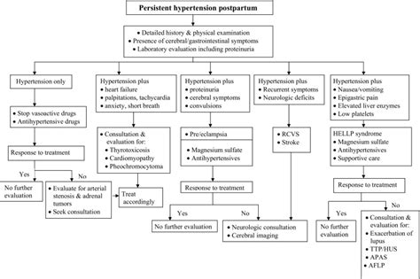 Etiology And Management Of Postpartum Hypertension Preeclampsia