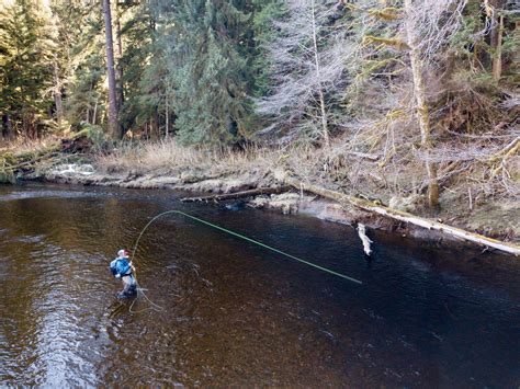 Early Season Fly Fishing in Alaska: Why Should You Go? | Yellow Dog